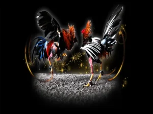 Bật Mí Cách Chơi Đá Gà Sabong Tại SonClub Cực Dễ Thắng Lớn