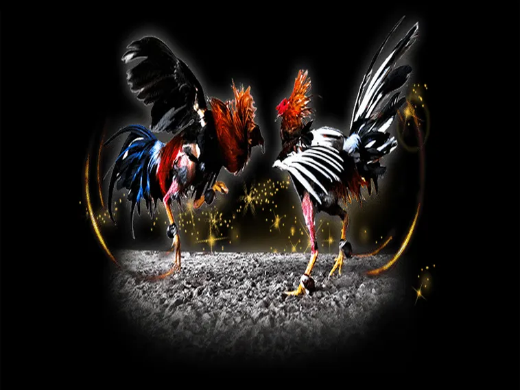 Bật Mí Cách Chơi Đá Gà Sabong Tại SonClub Cực Dễ Thắng Lớn