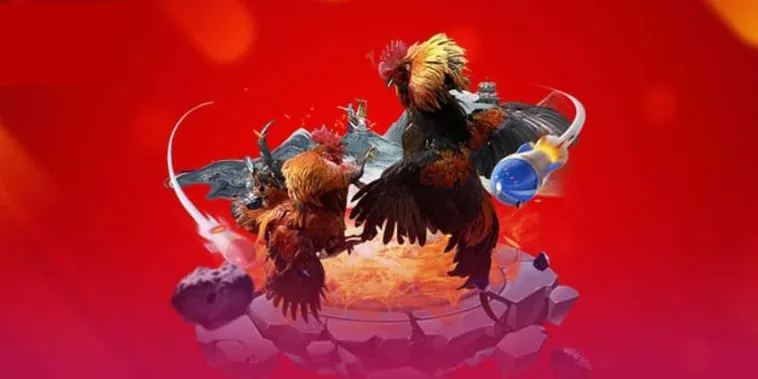 Đá Gà SonClub Đấu Trường Kê Vương Bùng Nổ Cảm Xúc Thăng Hoa