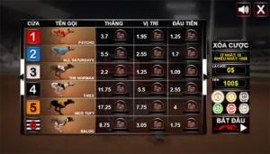 Bật Mí Cách Chơi Game Nhanh Đua Chó Tại SonClub Thắng Lớn Mỗi Ngày